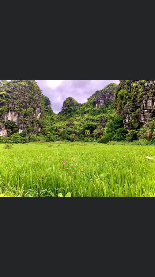 Tam Coc Scenery Homestay Van Lam Exteriör bild